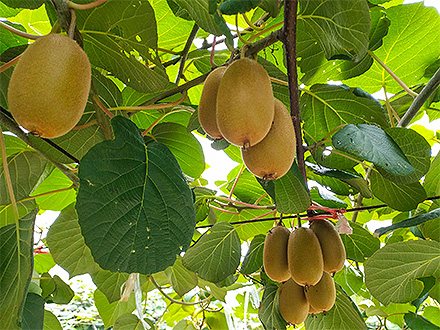 九游娱乐入口基地展示四