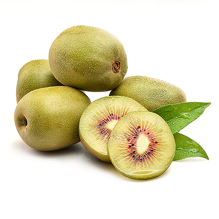 九游娱乐入口产品中心八